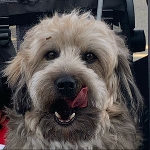 Meet your Posher, Katy